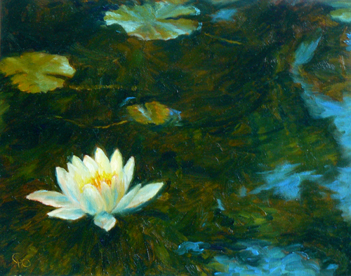 Water Lilies